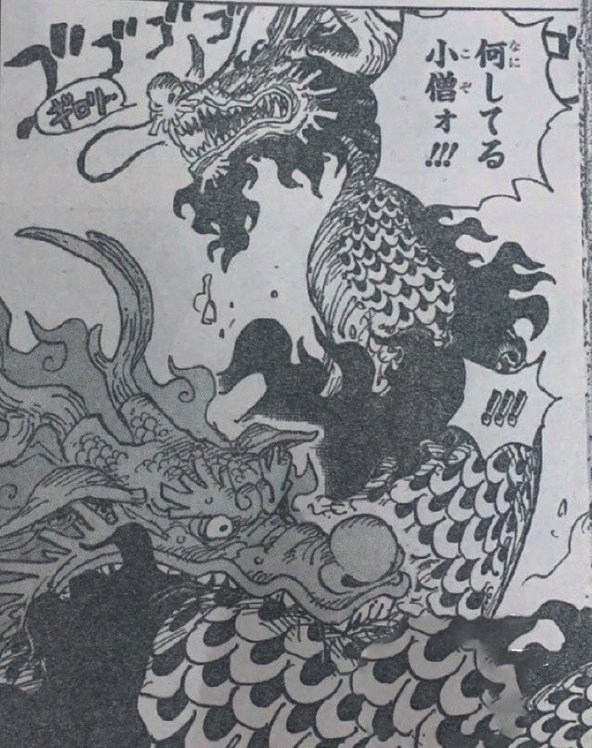 鬼岛|海贼王1026话:桃之助变龙的真正意义,并非对战凯多,而是停鬼岛