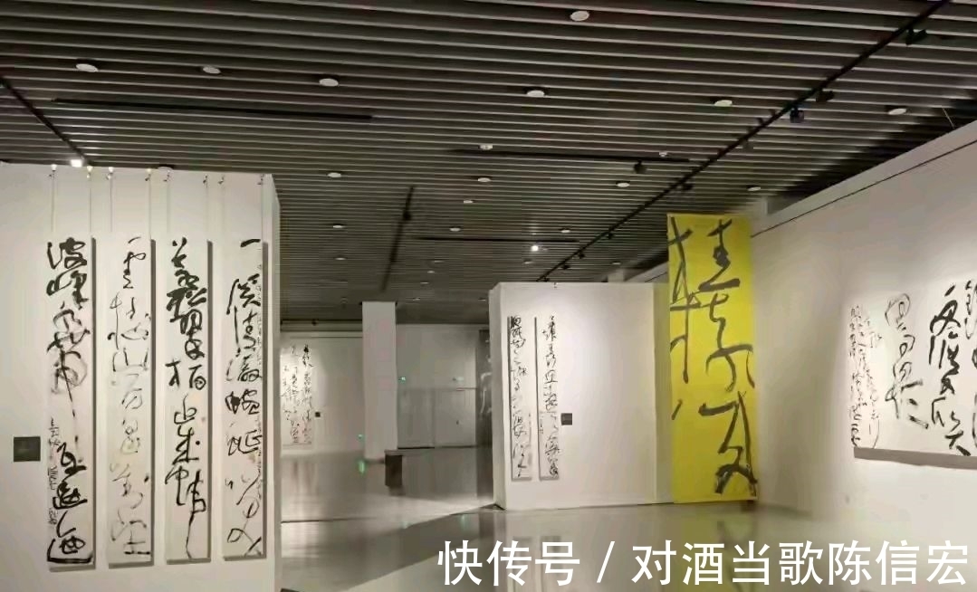 张芝@他们四位能代表当代狂草的最高水平吗?网友评价:像小孩涂鸦!