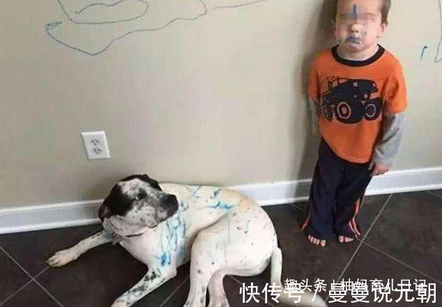 宝宝|“你的毕业证废了”3岁儿子毁了宝妈毕业证书,宝爸已经在打了