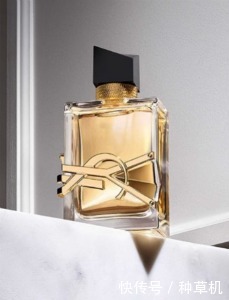 什么香水好用?香奈儿香水和YSL圣罗兰香水怎么选择?