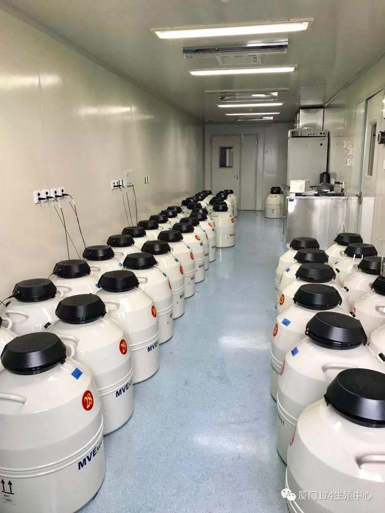 无人问津|万枚试管婴儿冷冻胚胎在零下196℃沉睡，十年无人问津！医院要清理了