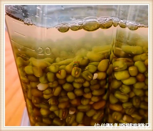 清凉|绿豆别煮粥了,这才是孩子最爱吃的做法,滑嫩清凉,比豆腐还好吃