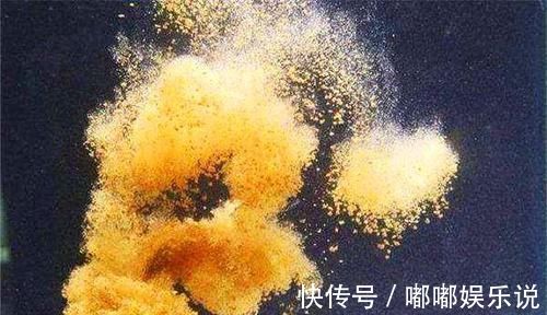 冬季手竿钓鲫鱼,试试这些狠招数,放大鱼口,提升中鱼率!