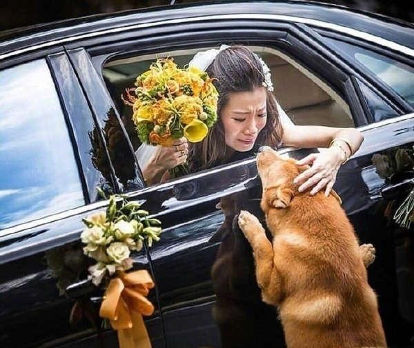 |爆笑笑话, 我已经笑尿了!爆笑笑话, 我已经笑尿了！