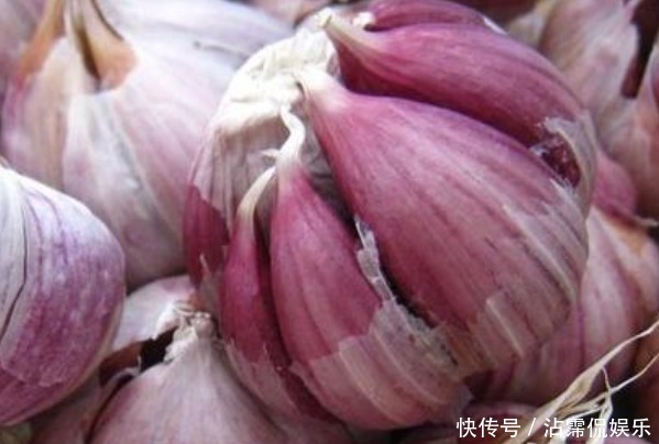 收入|睡觉前把蒜放枕头下,3天后会有什么变化三大好处收入囊中!