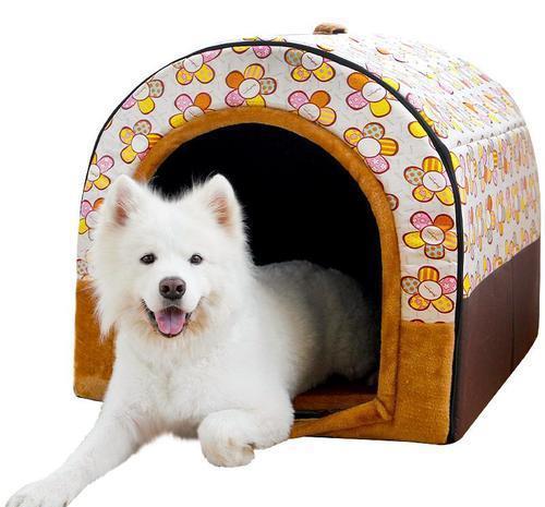 买房|你会为家里唯一的一个宝贝女儿买房买车吗,父母的想法出奇一致