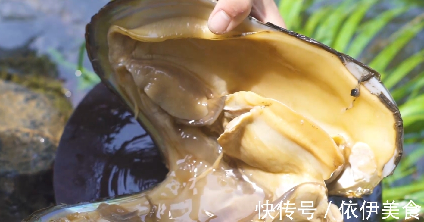 切成块状|野外爆炒大河蚌,肉嫩肥美,飘香十里,让人直流口水!