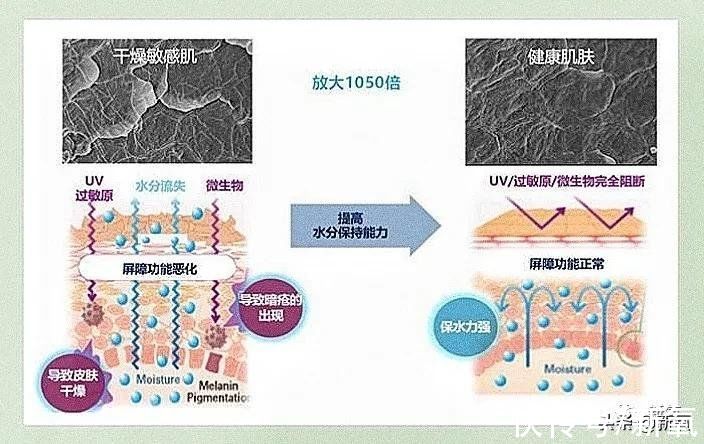 网红|10个网红9个专家，手把手教你如何毁容