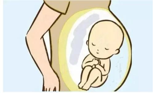 胎盘|生娃后胎盘该如何处理?“埋”还是“吃”?医生:不要盲目处理