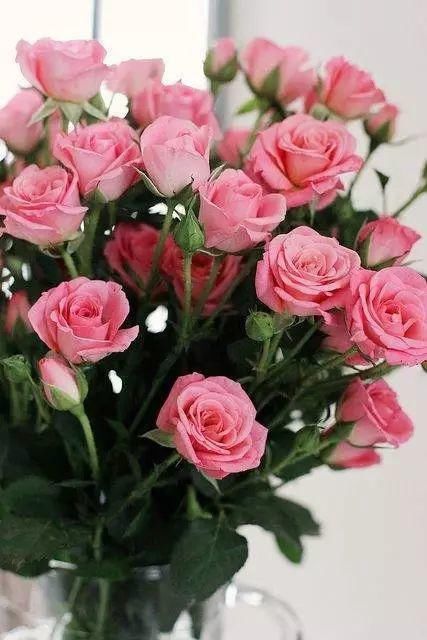 心中有花园，自然有花开