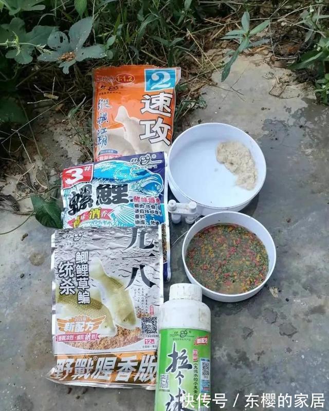 老鬼螺鲤钓鲤鱼,yyds