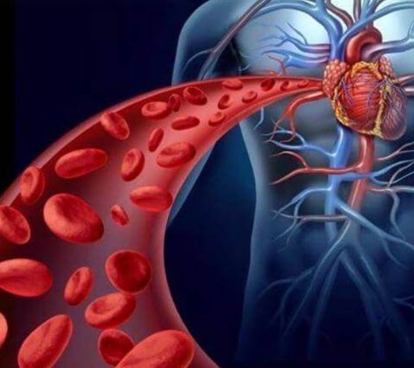 丹参|世上本无病,只有“瘀和堵”!2道食疗方,常吃可散瘀活血