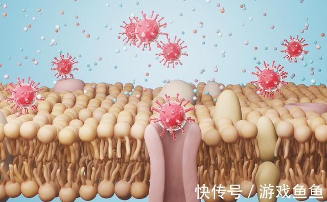 油条|这3个减肥认知,你越早知道越好,让你少走弯路减肥效果倍棒