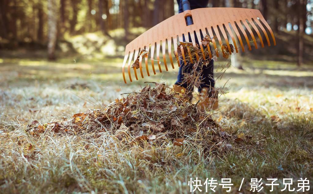 骨骼年龄|109岁老人，骨骼年龄只有50岁，长寿秘诀不是多走路，而是这3件事