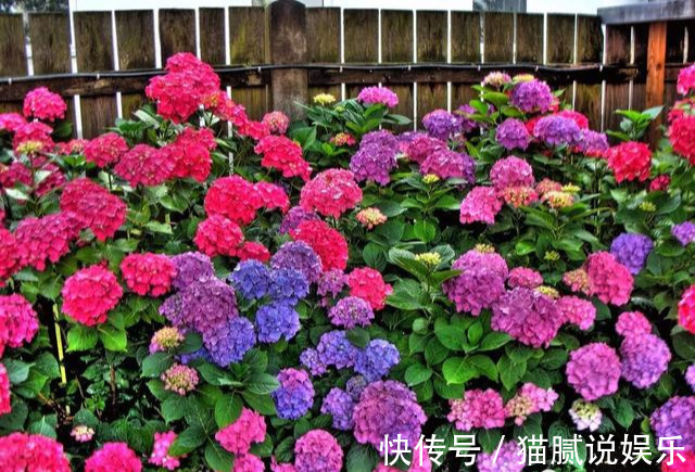 这9种花园，随便1个都美上天了，有一种这辈子就满足了！