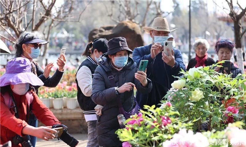 一条街|春城春意浓，西山区赏花正当时