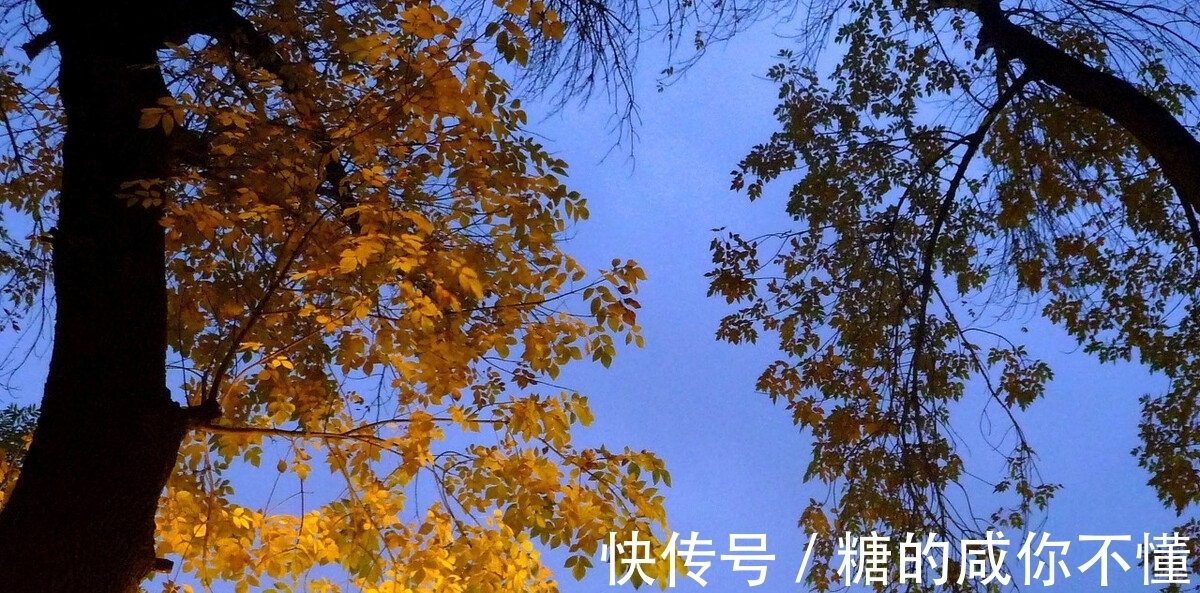 元稹|秋风生渭水，落叶满长安。三首思念朋友的古诗，哪一首能够打动你