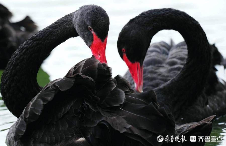 秋色|江苏盐城秋色浓，正是旅游好时节