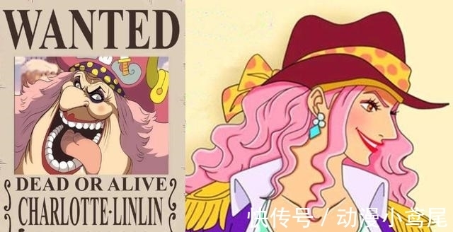 海贼世界|海贼王:海贼界第三位女强人出现了,至少10亿打底,女帝也才8亿