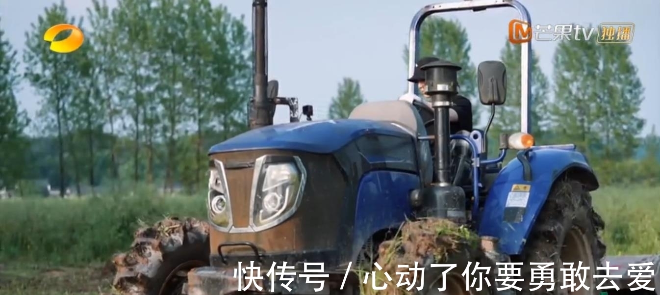 向往的生活5|《向往的生活5》集體勞動種樹，黃雅莉成功出圈，張藝興廣受好評