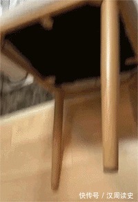 |搞笑GIF:不会咬裙子留人的狗子不是一只好狗子