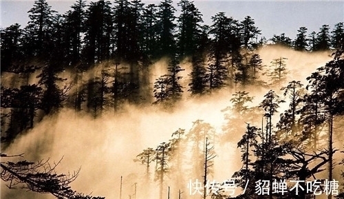 黄泉路#“黄泉路”原来真实存在!现今已被列为禁区,科学都难以给出解释