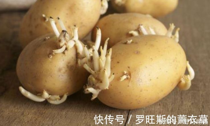 家人|发芽后的土豆到底还能吃吗？可能你一直存在误解，快点让家人知道