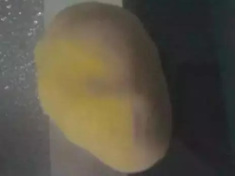 雾化|自制鲤鱼饵料简单天然,钓大鱼一绝,配方公开!