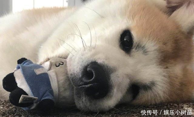 李宇春|李宇春晒出自己住的房子，在家喜欢下厨，生活更像个普通小女孩
