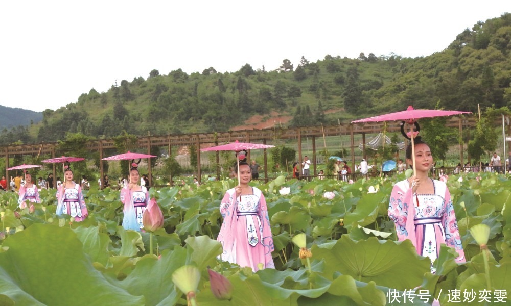  中国|屏南全域旅游迈上新高度