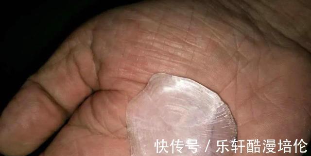 体型|安徽钓鱼人耗费近两千元打窝，钓起“茨河鱼王”，体型堪比成年人