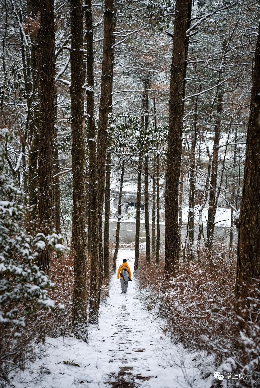 胡惠菲|庆元绝美雪景大片，上新了！