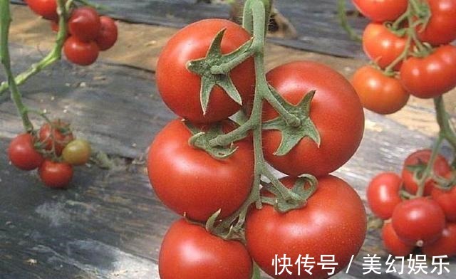 肝明目|120岁长寿老人饮食平常多吃“3道红、3道白”,无需保健品