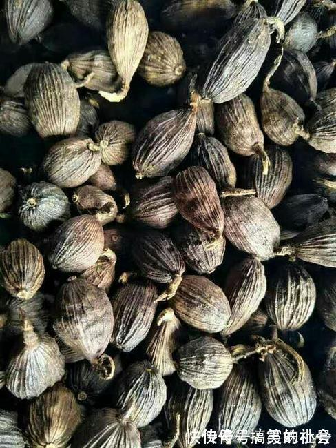 发苦|卤牛肉时，最忌放这3样香料，否则毁了一锅肉，味道发苦，很难吃