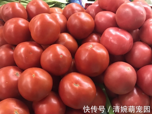 菠菜|天然的“叶酸”找到了,孕妈怀孕以后尽量多吃,或对胎儿发育有益