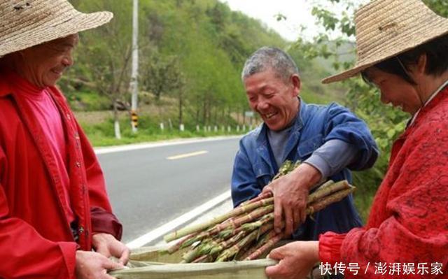  它在国外臭名昭著，在我国却名气很大，80后当成零食吃，12元一斤