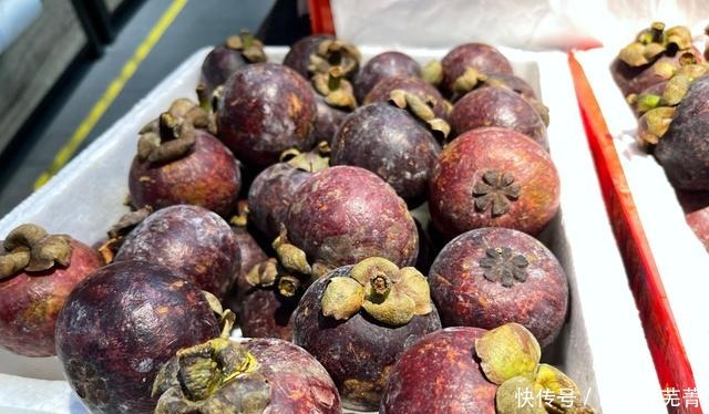 消暑|夏天，这些碱性水果要常吃，再贵也要舍得吃，营养好吃又消暑！