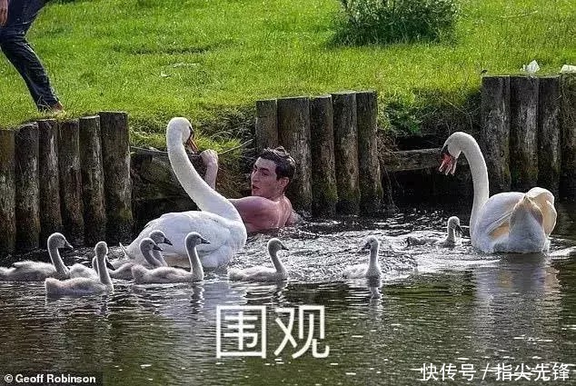 剑桥|剑桥“水怪”！揍人打狗未逢敌手？这么嚣张居然是女王给ta撑腰