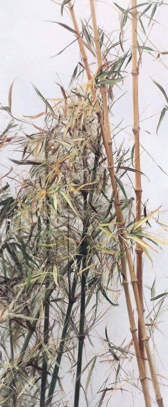 冷军的油画竹子和90后大叔池静山笔下的墨竹,你更喜欢哪个呢