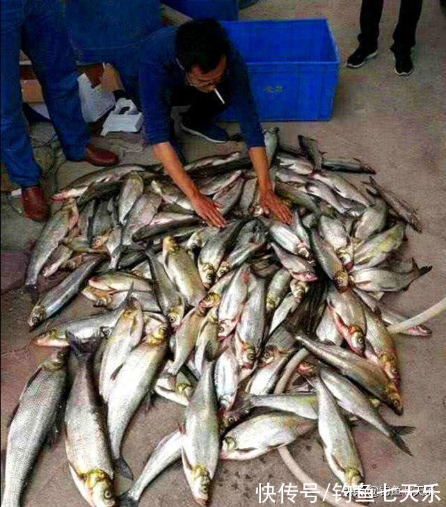 重庆垂钓新规来了，对泥鳅钓鱼严加管控！网友：“泥鳅党”要凉了