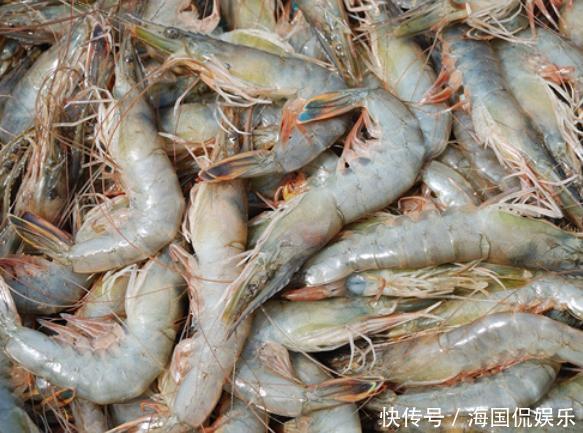 吃海鲜也要讲究“时令”,老渔民不会告诉你的海鲜日历,请收好