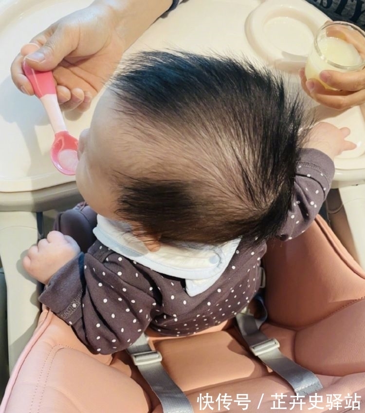 小蛋饺|杜淳尝女儿的第一口辅食,被调侃在吃剩饭,半岁小蛋饺软萌出镜
