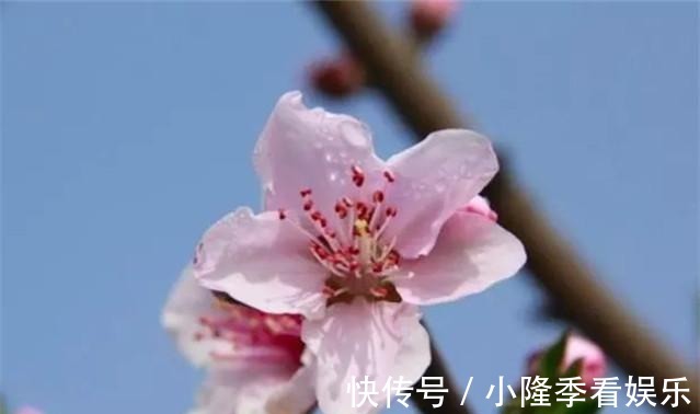 人生路|《列子》十则经典格言,言简意深,遥指人生路!