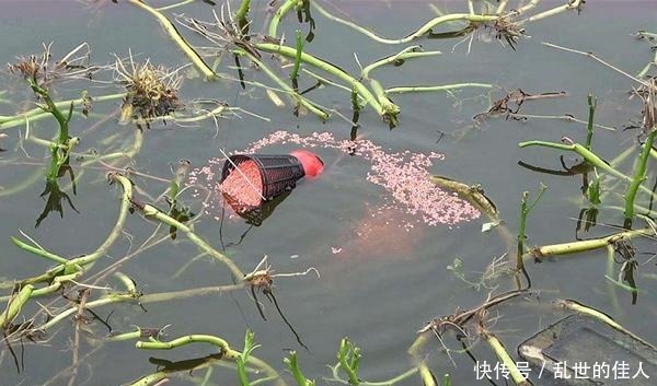 冬季钓鱼,聚鱼是难点!做到这几点,气温再低,鲫鱼也会排队进窝