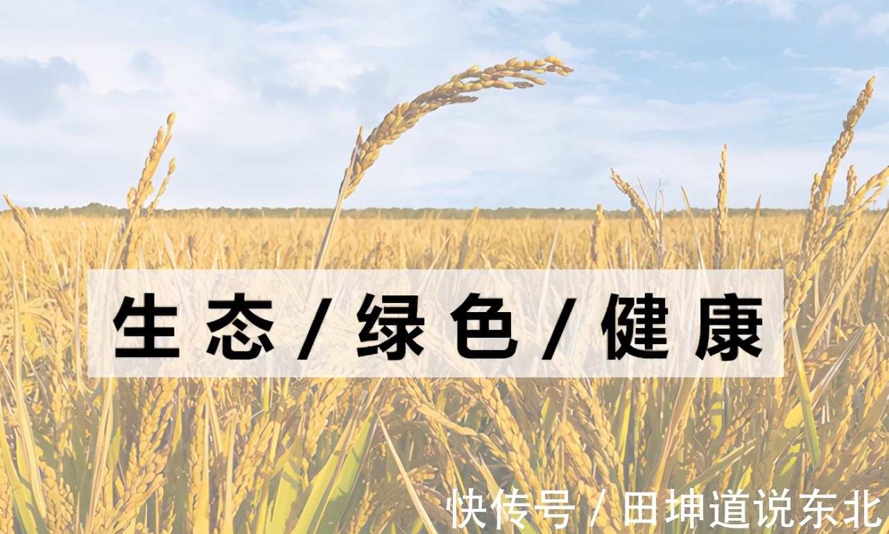 换个姿势嗑CP,这些饭桌CP组合你不嗑不行|田坤道| cp嗑