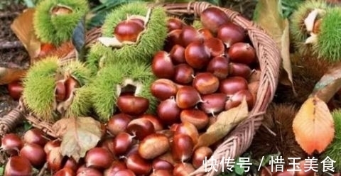 栗子|原来板栗不难剥,很多人用错了“水”,教你一招,板栗轻松剥开