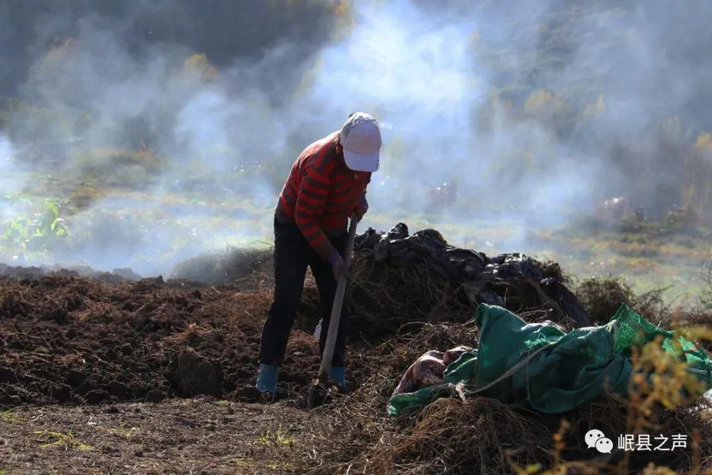 岷县的春夏秋冬，看不够！