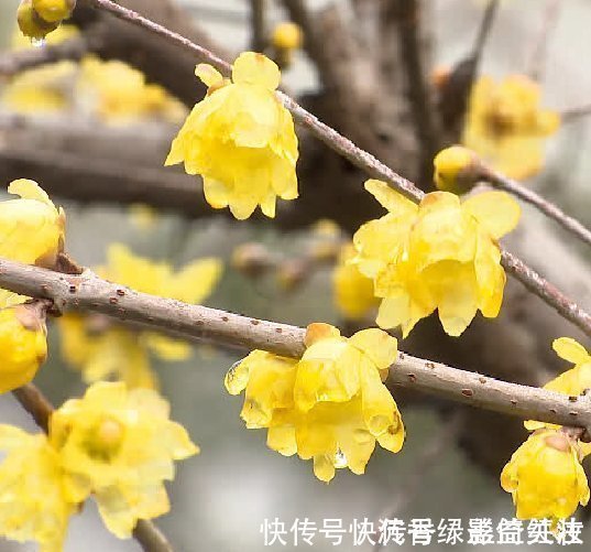 戌水生亥木|步入年底，4属相吉星庇佑，好运连连，桃花滚滚，生活顺风顺水