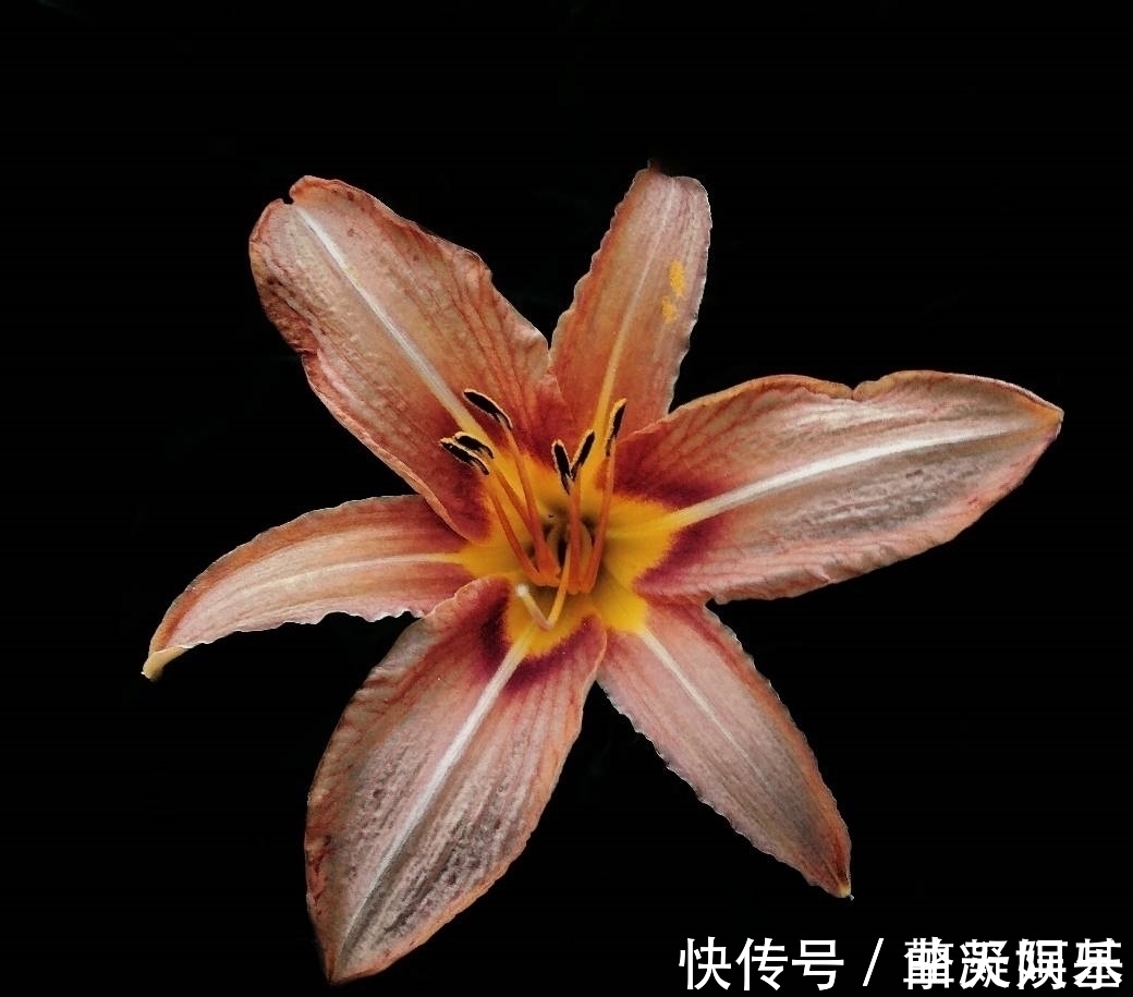 旧爱|未来9天,桃花芳香,感动神明,桃花朵朵,旧爱心软,追回旧爱