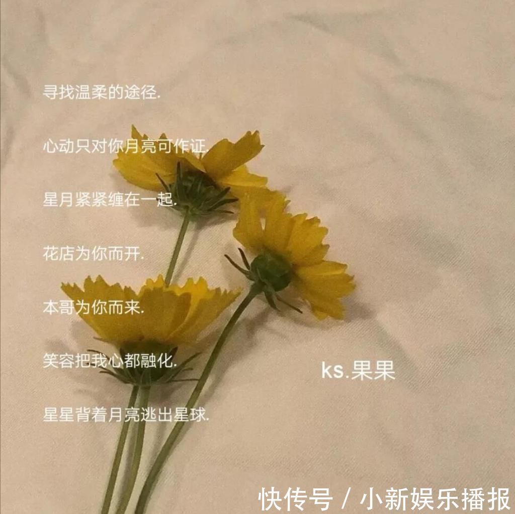 r原宿风网名“别把开头说的太动人毕竟我们都喜欢结局”